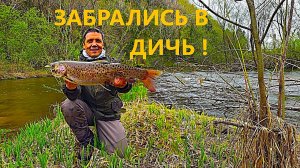 Пробились НА ВОДОМЁТЕ в глухую ТАЙГУ! 3 ДНЯ РЫБАЛКИ НА ГОРНОЙ РЕКЕ. ХАРИУС и ЛЕНОК. Таёжный быт
