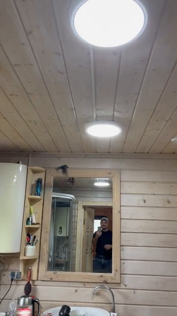 К нам прилетела ласточка