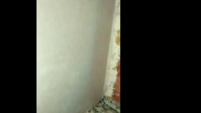 Механизированная штукатурка от Егора смотреть онлайн