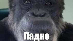 Задавайте вопросы.