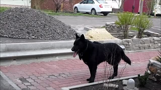 ч.19 Восточный