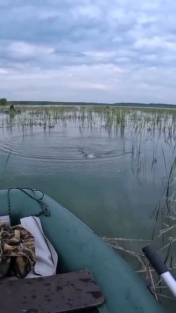 Рыбалка на Карася 🎣