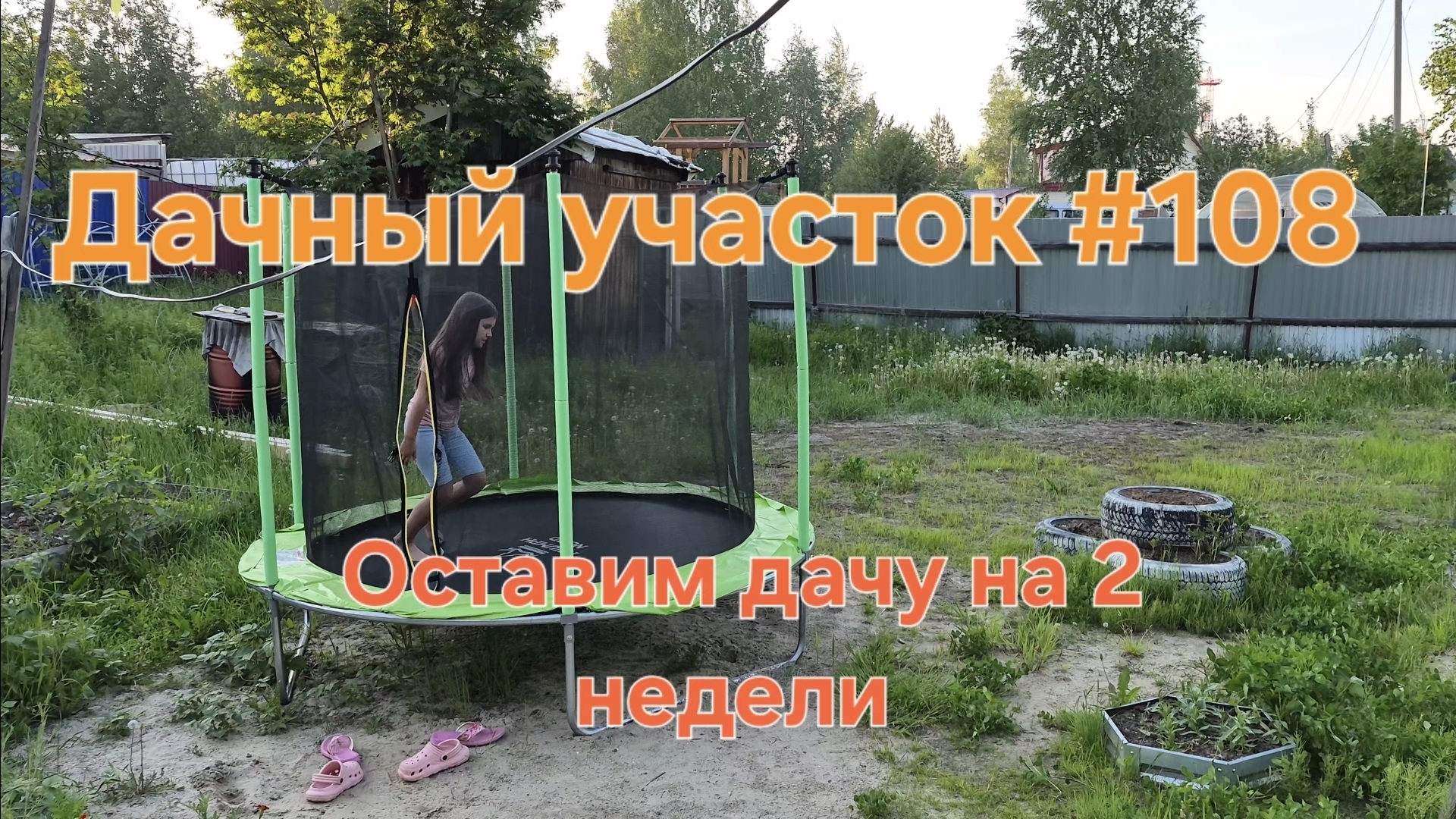 Дачный участок #108 Оставим дачу и кошку на две недели.