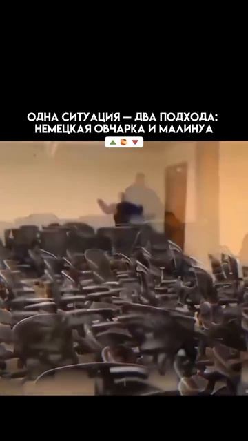 Клип @dsk_media