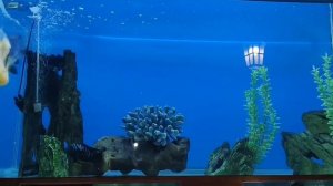 VID_20260615_105032