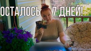 БУДЬ ГОТОВА! ЭТО СЛУЧИТСЯ В БЛИЖАЙШИЕ 7 ДНЕЙ! | Гадание таро расклад