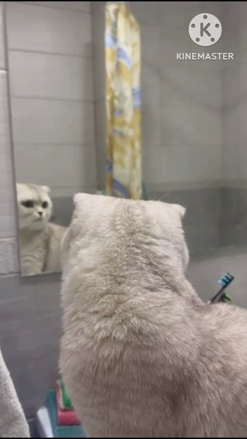 Я слишком много плавал 