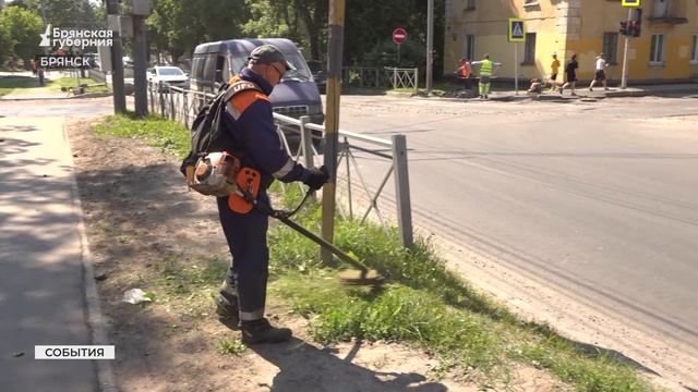 В Брянске коммунальщики вышли на покос травы смотреть онлайн