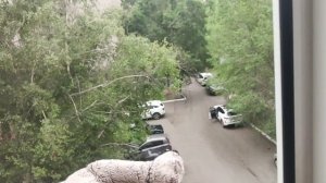 знакомство с басиками