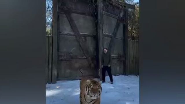 YouCut_20260610_005204523.mp4