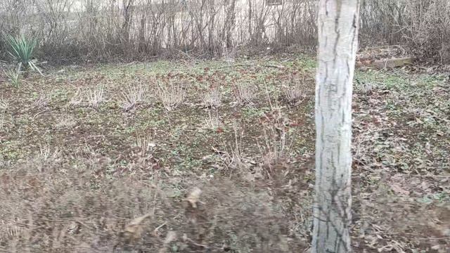 Один из дней города Евпатории | 24 января 2022 год | Крым ХАН БАТОН XAH 6ATOH | VID_20220124_143414