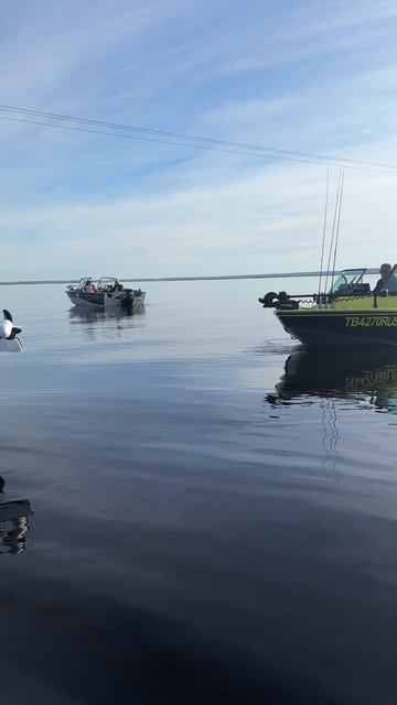 Катера на старте + поймал/отпустил: окунь и щука на соревнованиях 🎣🚤