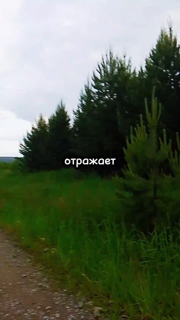 Ты притягиваешь не то что хочешь