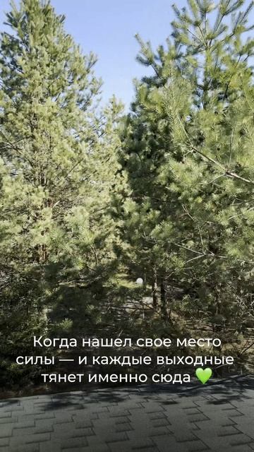 Искусство  это человек плюс природа  Винсент Ван Гог