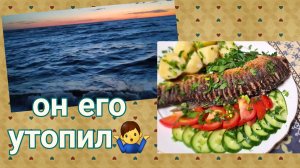Он его утопил. Голошейки. Она опять напала. Ремонт и море. Сазан жареный.