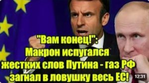 Вам конец слова Владимир Путин напугали Эммануэль Макрон