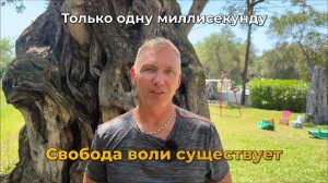 Свобода воли существует. Но только одну миллисекунду