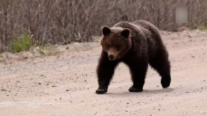 Народный патруль 16.06.2026