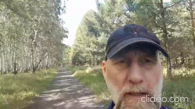 Summer Heat Omsk смотреть онлайн