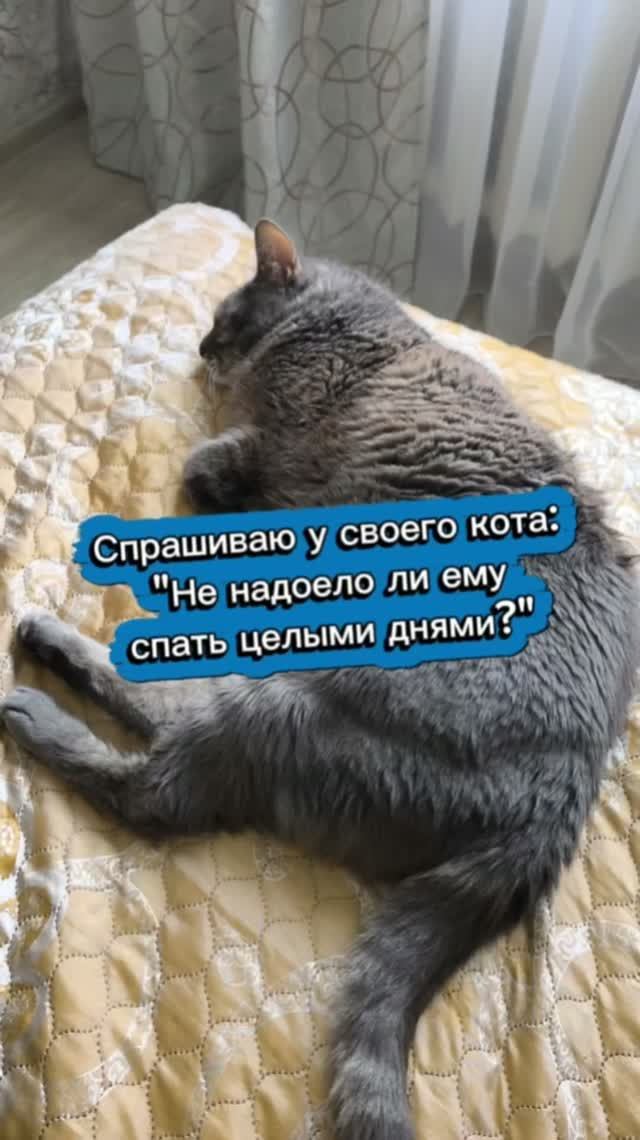 Это не ваше дело 😻🤣