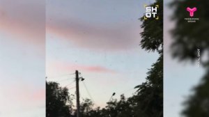 Достали!