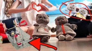 Басики едут в деревню?У басика теперь есть брат!