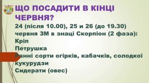 Что посеять на грядках в конце июня 2026?
