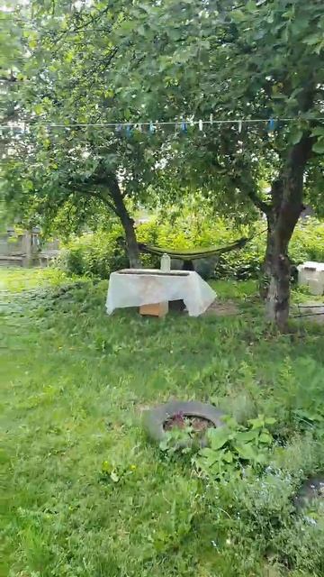 Участок 9 января