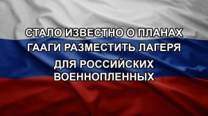 Cтало известно о планах Гааги разместить лагеря для российских военнопленных