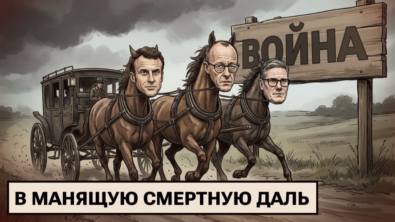 Шрёдер в Кремле / QR-коды на советских мемориалах / Больничный тур коров смотреть онлайн