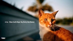A-ha - Minor Earth Major Sky (Forty Cats Remix)