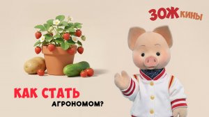 ЗОЖкины: как стать агрономом? 🍃 Шоу для детей Спокойной ночи, малыши!
