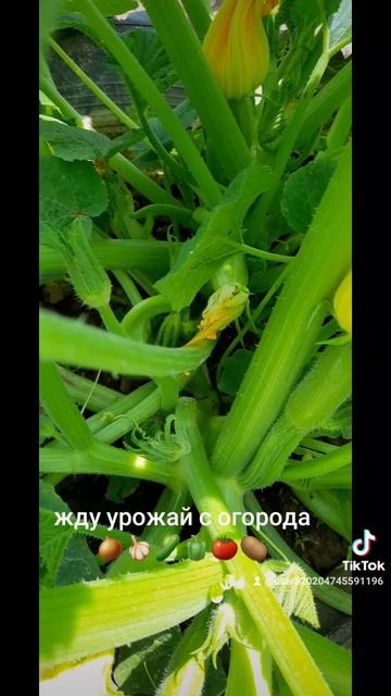 1000027205.mp4