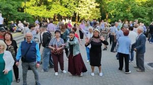 13.06.2026..❤«Белые Ромашки»!.. Гомель!