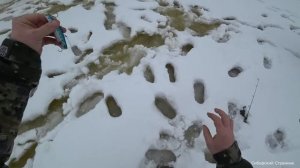 Весна пришла. Ловим щуку травянку, оторвали все приманки.