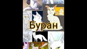 могу зделать обои на заказ