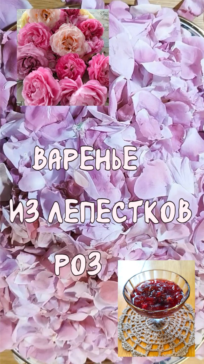 Варенье из лепестков роз. Особый шарм.