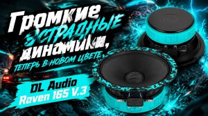 Громкие эстрадные динамики от DL Audio, теперь в новом цвете - Raven 165 V.3