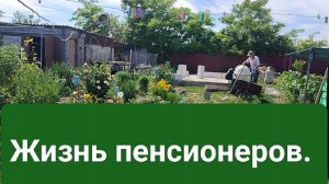 Как всё успеть? Немного сделали. Жизнь станичная на пенсии.