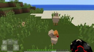 SVID_20260615_143406_1.mp4