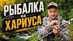 Рыбалка на хариуса.