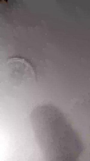 е