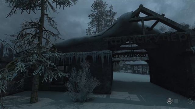 #AloneInWindstorm#FallenBear