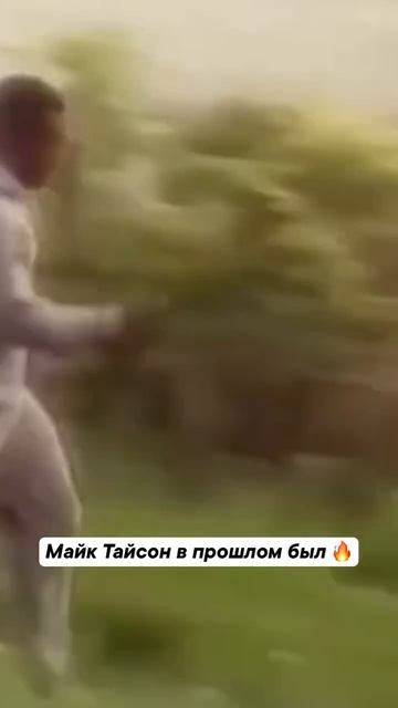 Тайсон и сейчас ничего 🙌