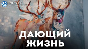 Новая экспозиция в «Хорошем месте-2026»