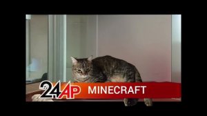 Актуальный Разговор-Minecraft