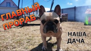 НАША ДАЧА: Обзор участка, грандиозные планы и сборка качелей