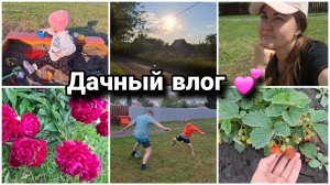 🏡Хорошо на даче летом🥰 Клубничка, шикарные пионы. Вечерний футбол ⚽️