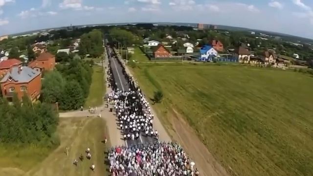 31075.mp4 смотреть онлайн