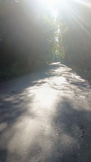 велопрогулка смотреть онлайн